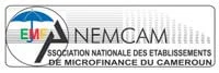 Logo Association nationale des établissement des microfinance du Cameroun ANEMCAM